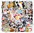 Стикеры CATS 50 штук