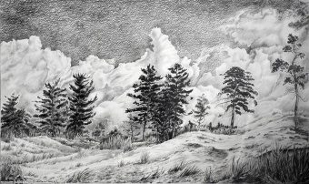 Сосны на песке.2017_1